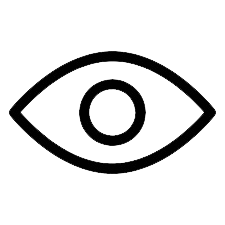 Toggle Password Visibility